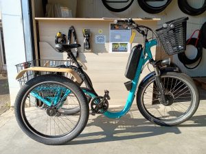 1359 Tricycle VAE 24" vert EVASION