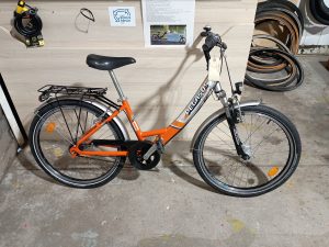 1450 Enfant 20" orange PEGASUS