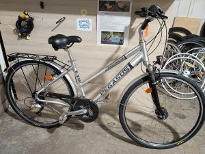 1507 Ville 28" gris PEGASUS